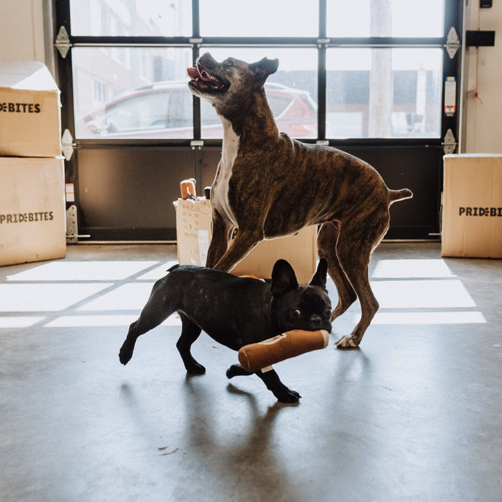 Pappy Cigar Plush Dog Toy Apparel & Gear Pappy & Company