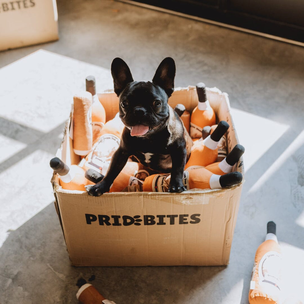 Pappy Bottle Canvas Dog Toy Apparel & Gear Pappy & Company 