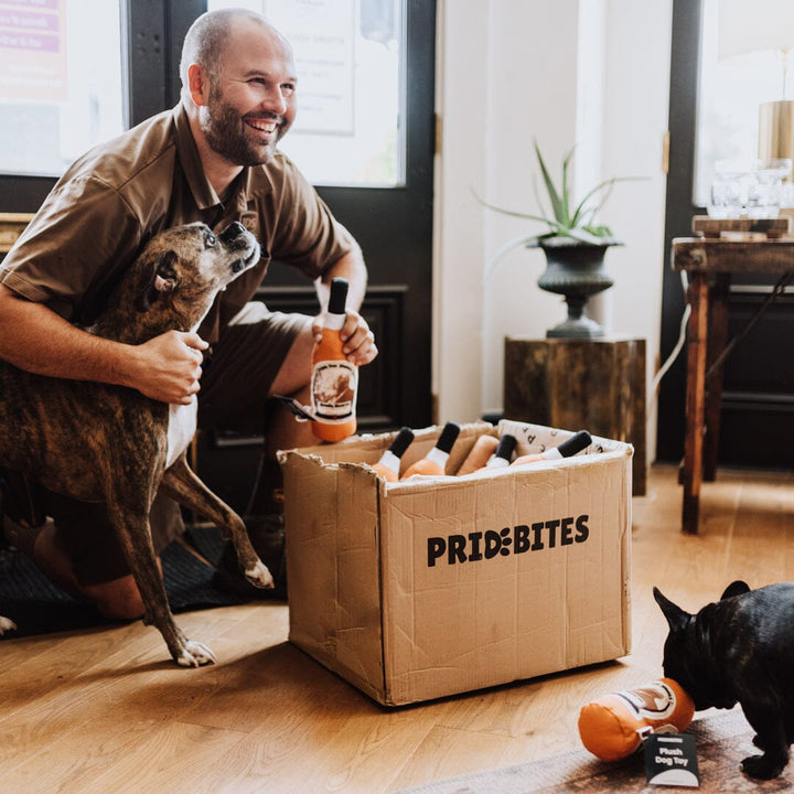 Pappy Bottle Canvas Dog Toy Apparel & Gear Pappy & Company 