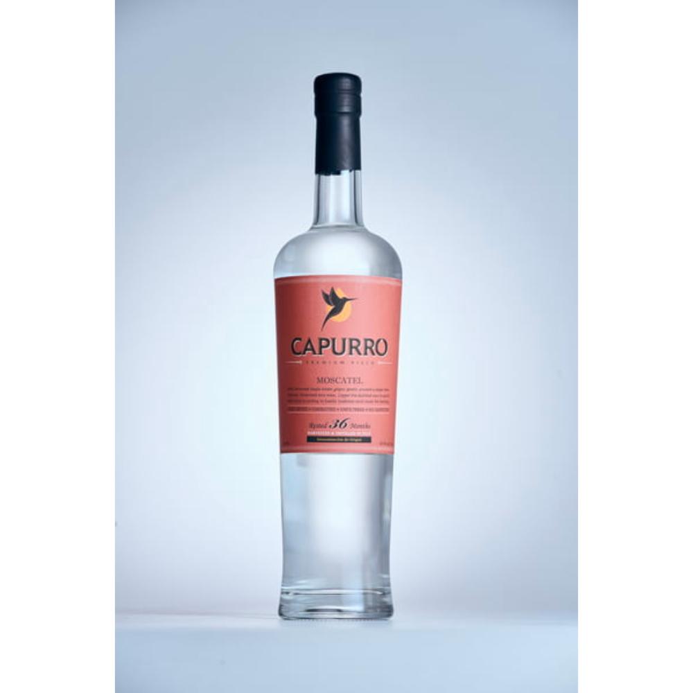 Capurro Pisco - 2016 Moscatel Pisco Capurro Pisco 